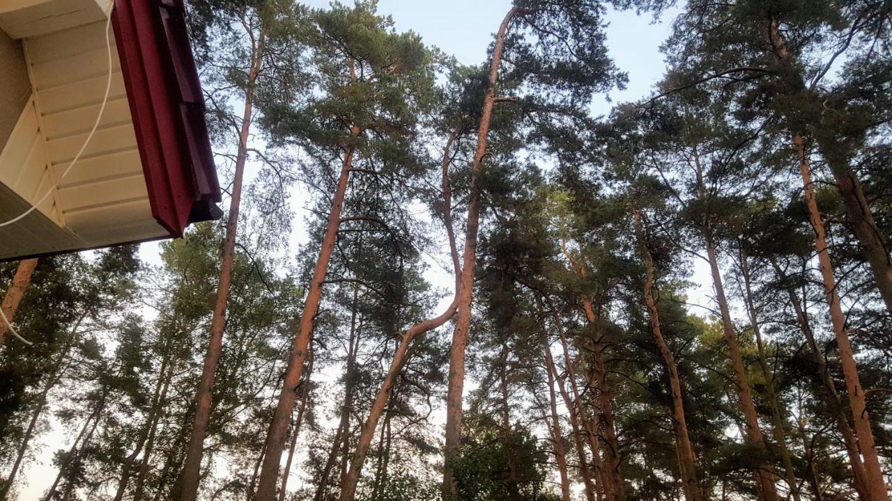Jw Mazury Domy Wakacyjne Nad Jeziorem-Dom Czapla Waplewo  Esterno foto